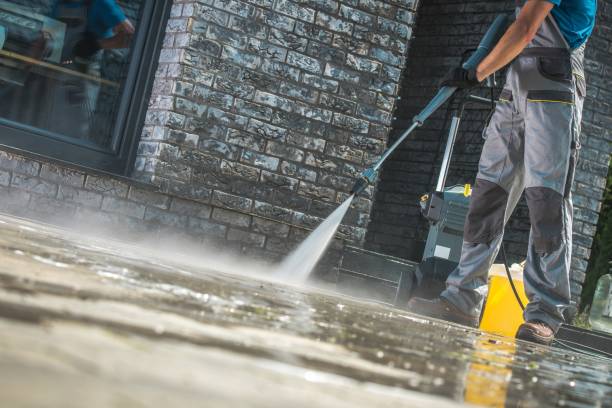 Pre-Holiday Cleaning in Taylorville, IL